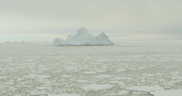 Iceberg and icefield