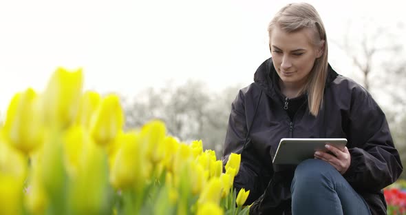 Female Researcher Walking While Examining Tulips At Field