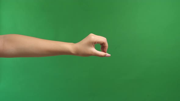 Hand Gesture Letter Of The Alphabet O Or Zero On Green Screen Background