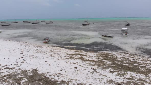 Lot Fishing Boats Stuck in Sand Off Coast at Low Tide Zanzibar Aerial View