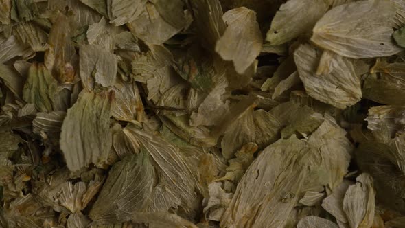 Rotating shot of barley and other beer brewing ingredients - BEER BREWING 