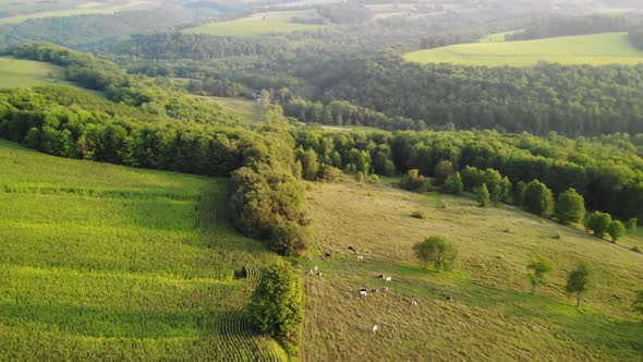 Birds eye view of an open field in Maine United State of America