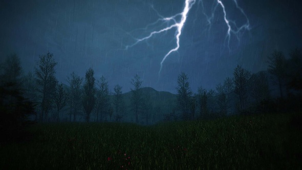 Heavy Rain with Lightning and Thunder in the Night Forest