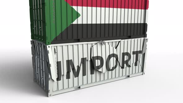 Container with Flag of Sudan Breaking Container with IMPORT Text