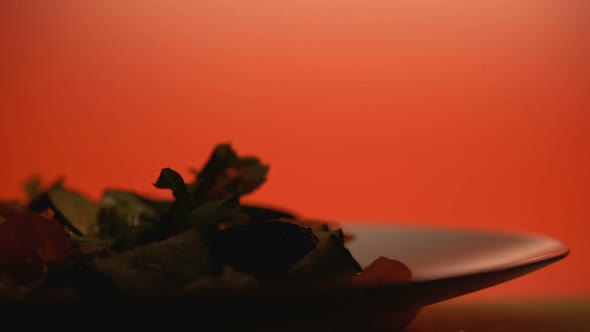 Closeup of Salad With Vegetables