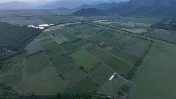 Flying over Alazani river at sunset. Kvareli, Georgia 2022 summer