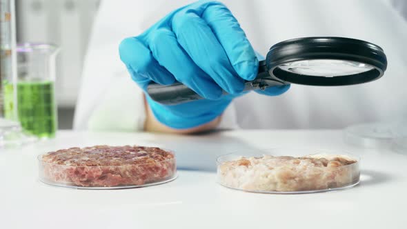 Medical Scientist Inspecting Minced Meat Wearing Protective Unform Working in Laboratory