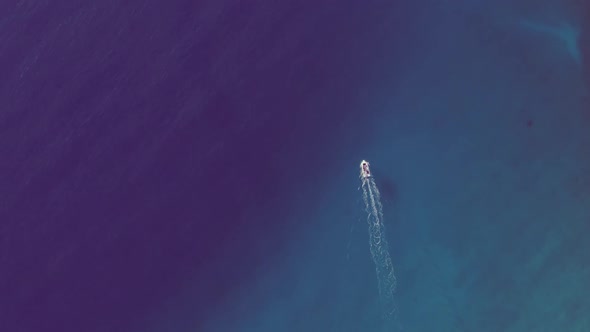 Aerial top view on speed boat row in blue sea