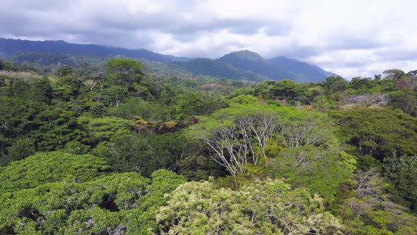 Aerial Drone View of Rainforest Trees, Canopy and Mountains in Costa Rica, Central America, Tropical