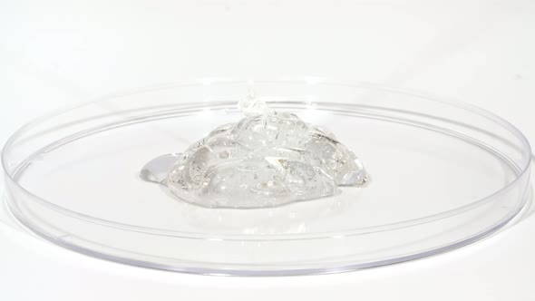 Transparent Cosmetic Gel Fluid Dripping Into the Glass Bowl of Petri