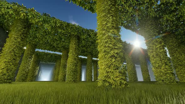 Columns Covered With Plants alt