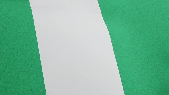 National Flag of Federal Republic of Nigeria Waving Original Size and Colors 3D Render Flag of