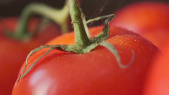 Beautiful Red Tomatoes Water Drops Macro Video