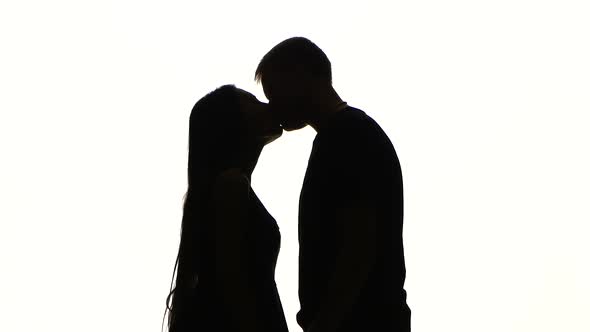 Portrait of Two People Kissing. Silhouette. White