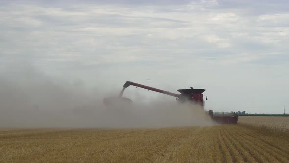 Back view of a combine loading the grain onto a wagon while harvesting a wheat field. Medium shot.