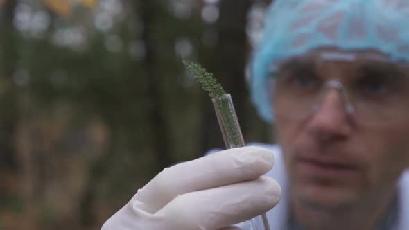 In the Forest, an Ecologist Takes Samples of Plants and Puts Them in a Test Tube alt