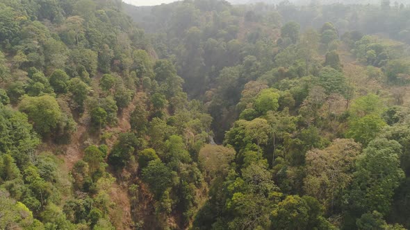 Tropical Landscape Rainforest and Mountains