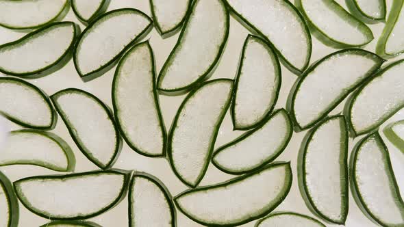 Closeup Aloe Vera Sliced Slice