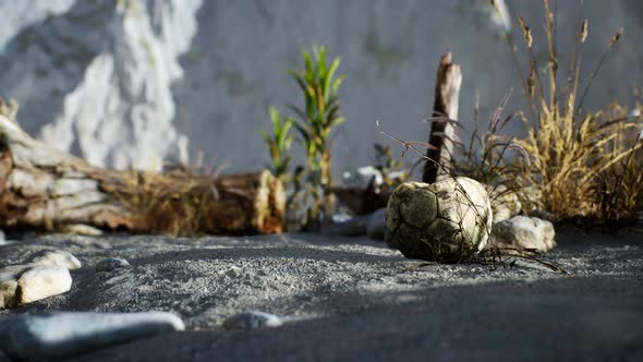 An Old Torn Soccer Ball Thrown Lies on Sand of Sea Beach alt
