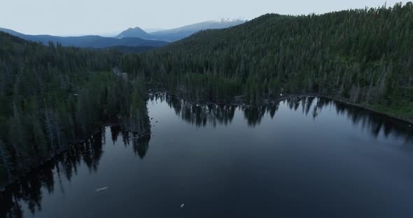 Aerial footage of Castle Lake green shore, Shasta-Trinity National Forest