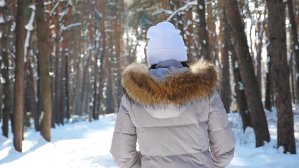 Back View of Woman Walking in Sunny Winter Forest. Unrecognizable Girl Enjoying Stroll Through Snowy