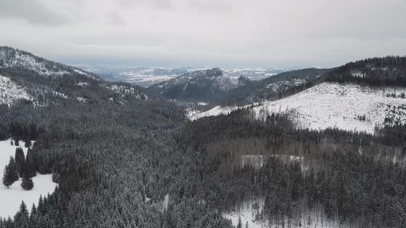 Aerial: Winter forest in Tatras mountains