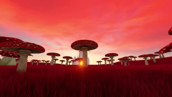 Magic Mushroom Meadow alt