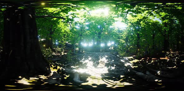 VR 360 Firefly Flying in the Forest alt