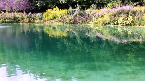 Turquoise water lake with flowers and plants on the shore angle 2