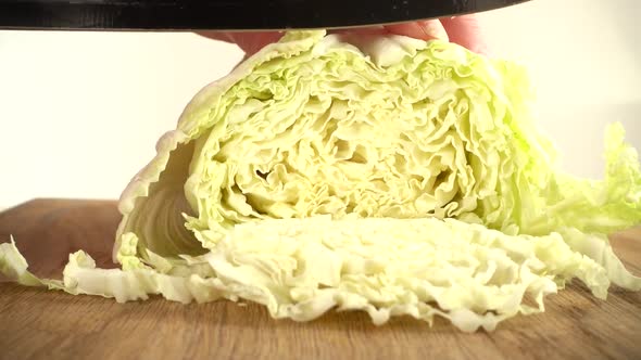 Napa Cabbage