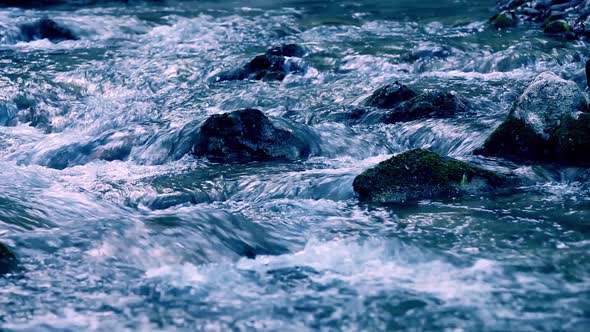 Beautiful River in Carpathian Mountains