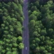 Aerial View of a Car Driving Through the Forest - VideoHive Item for Sale