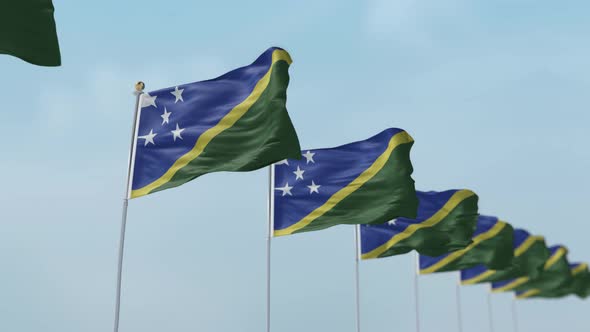 Solomon Islands Row Of Flags 