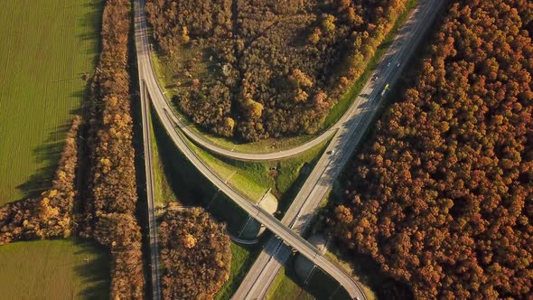 Aerial View Overpass Traffic with Car Move Transport Background in Autumn