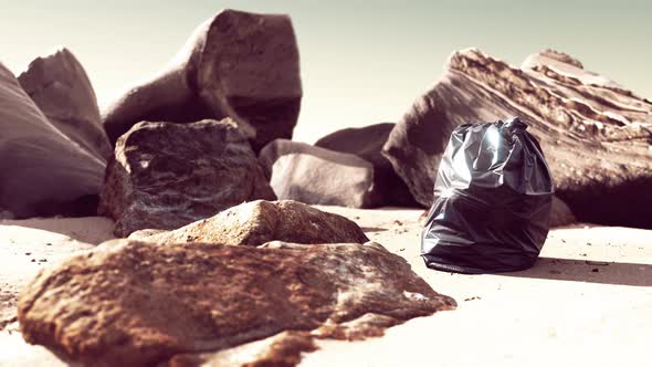 Black Plastic Garbage Bag Full of Trash on the Beach