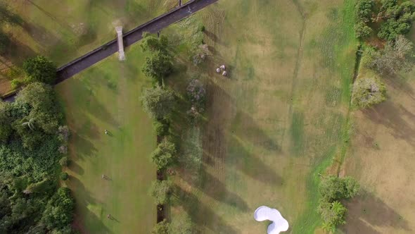 Aerial view above of paddy field growing semiaquatic rice, Malang, Indonesia.