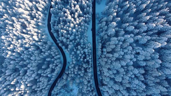 Curvy Windy Road In Snow Covered Forest During Winter