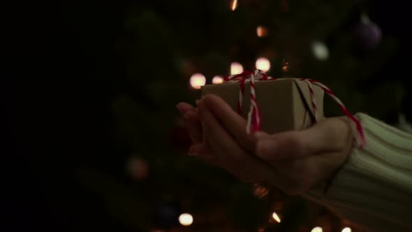 Hand Holding Christmas Gift Box