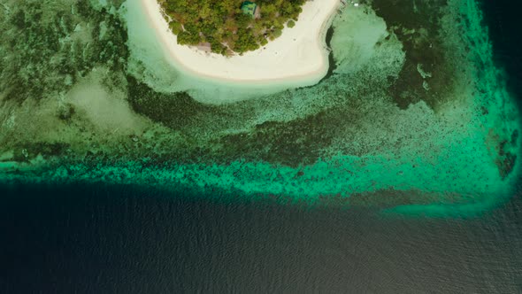 Tropical Island with Sandy Beach