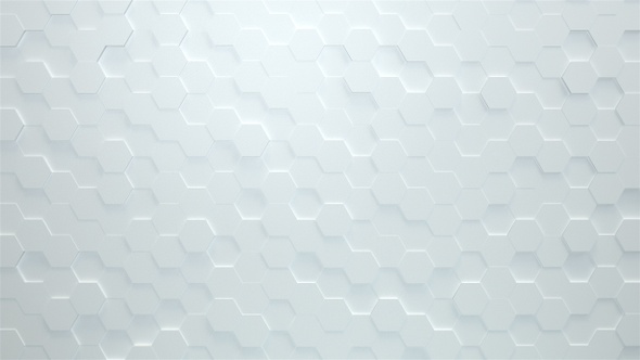 Clean White Hexagons