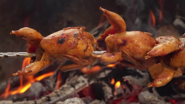 Closeup Panorama of Quail Carcasses on the Skewer Roasting Above the Open Fire
