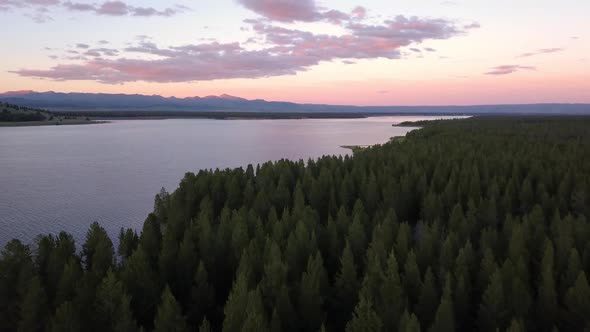 Flying over pine tree forest at sunset viewing colors in the sky