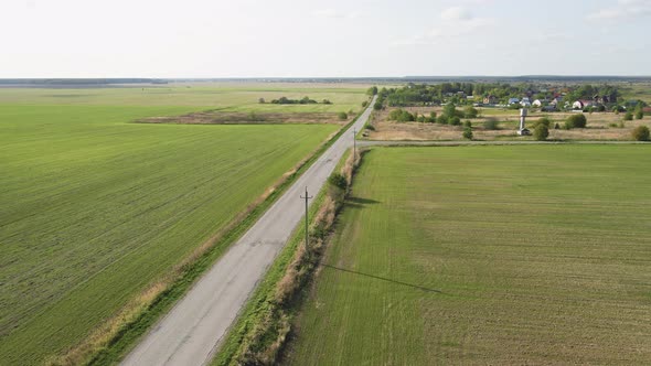 A Flock of Birds Flies in Front of the Quadcopter Camera