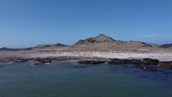 Sunny day on the coast with a big penguin colony near Luderitz city