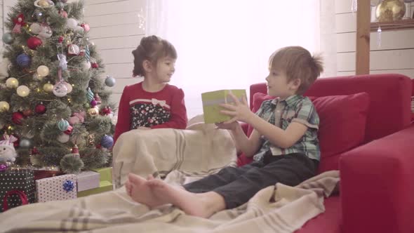 Little Boy Give To Girl a Christmas Present in a Bright Sunny Room