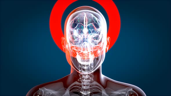 The power of the mind alt