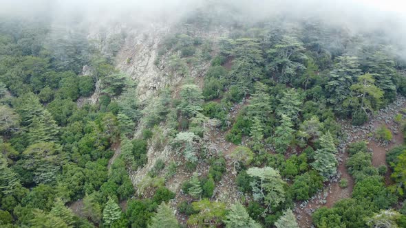 Rainy Weather in Mountains