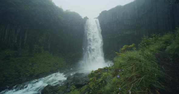 Svartifoss Waterfall in Iceland