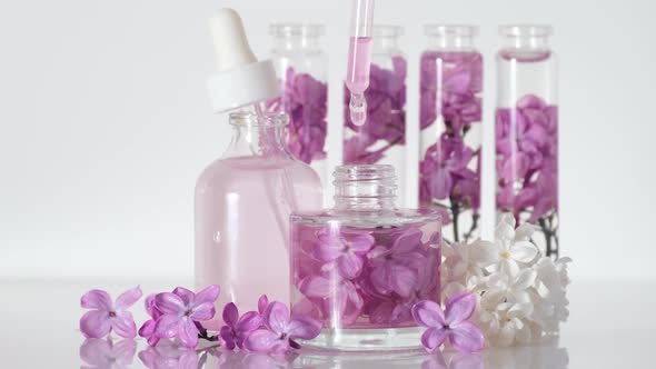 Oil essence with lilac flowers. Production of perfumes in laboratory