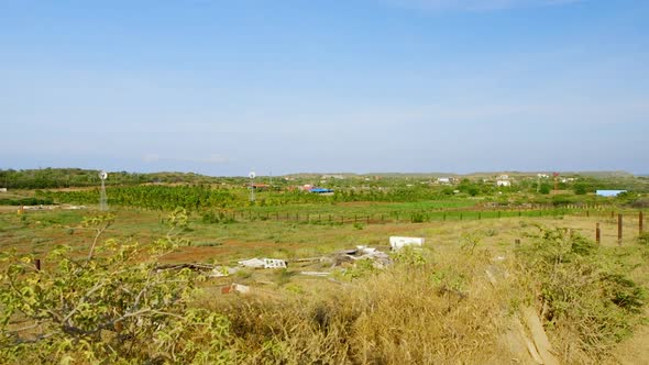 Wide gimbal shot of green farmland on, on a clear day with blue sky in Sint Joris, Curacao